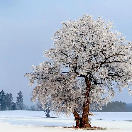 St, Andreasberg, Haus 47