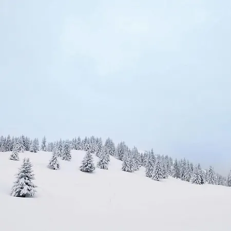 St, Andreasberg, Haus 47